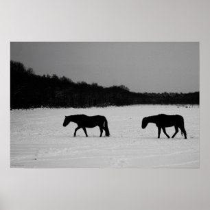 Horses On Snow wapcn Poster