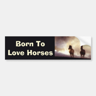 Horses On The Hill Bumper Sticker