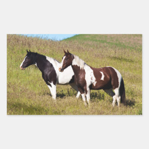 Horses on the hillside sticker