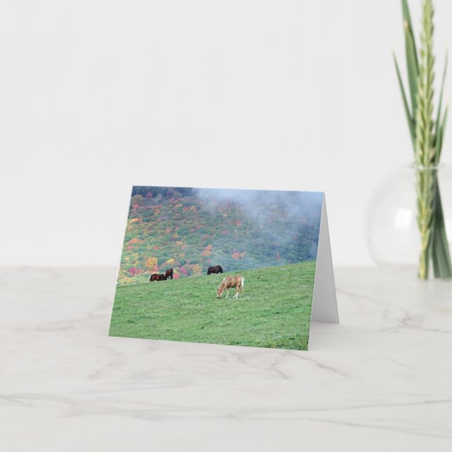 Horses on the Mountain Note Cards (Front)