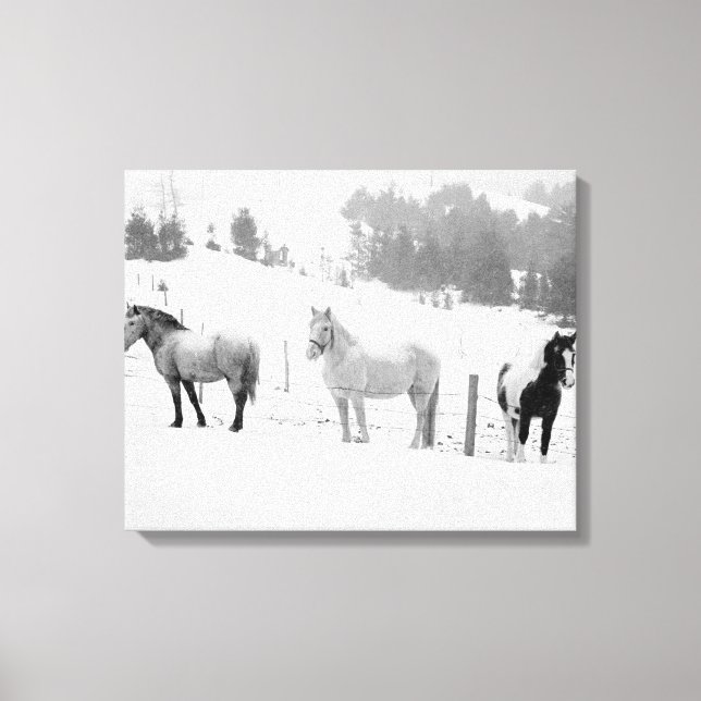 Horses on the Ranch Canvas Print (Front)