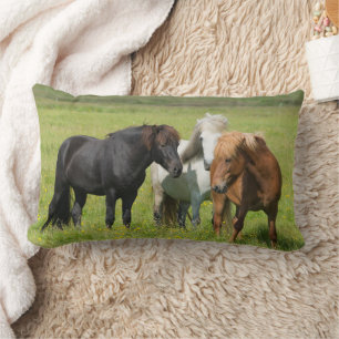 Horses on the Ranch, South Iceland Lumbar Pillow