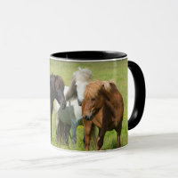 Horses on the Ranch, South Iceland
