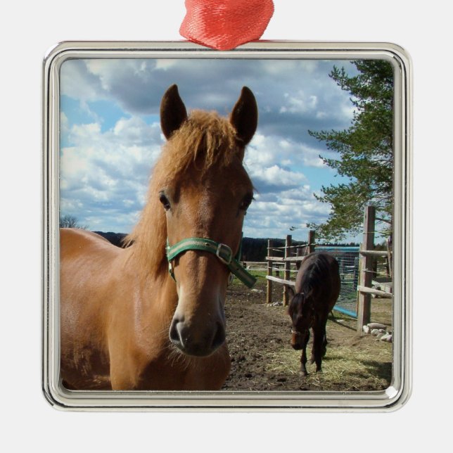 Horses ornament (Front)