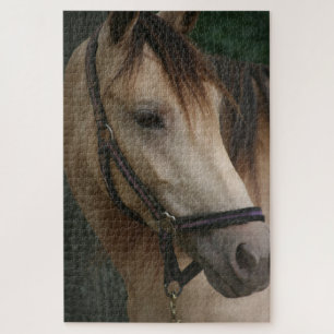 Horses peeking their heads over stall doors jigsaw puzzle