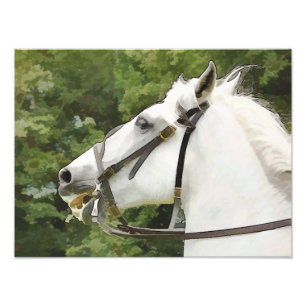 HORSES PHOTO PRINT