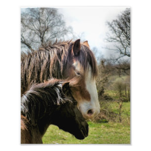 HORSES PHOTO PRINT