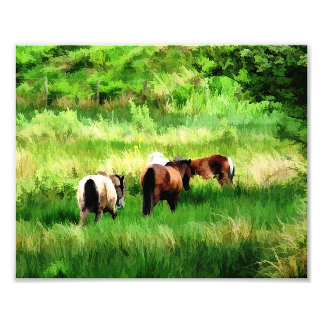 HORSES PHOTO PRINT (Front)