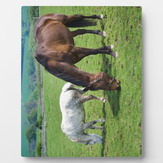 Horses Plaque (Front)