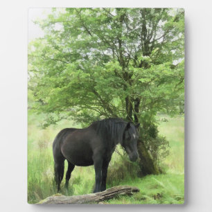 HORSES PLAQUE