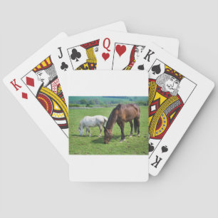 Horses Playing Cards
