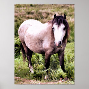 HORSES POSTER