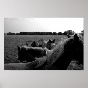 Horses Poster
