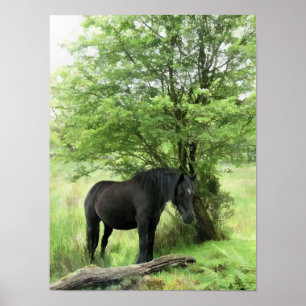 HORSES POSTER