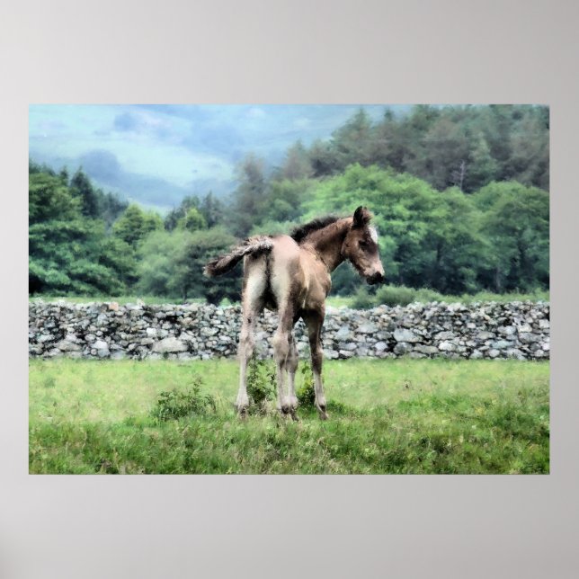 HORSES POSTER (Front)