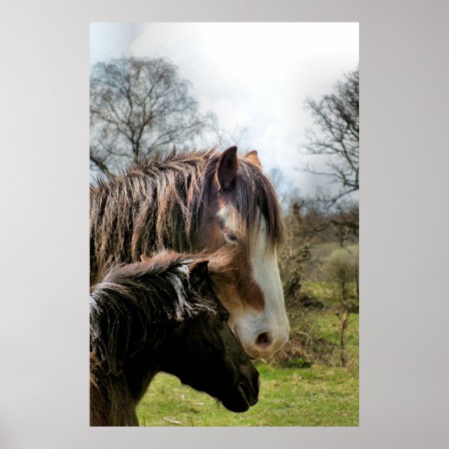 HORSES POSTER (Front)