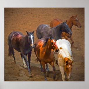 Horses Poster