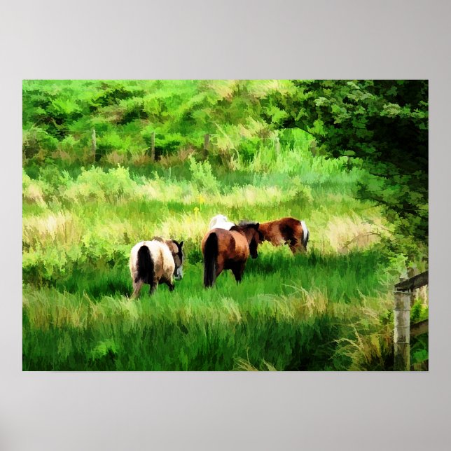HORSES POSTER (Front)