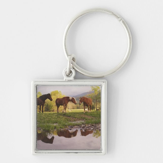 Horses reflected in small stream, Cades Cove, Keychain (Front)