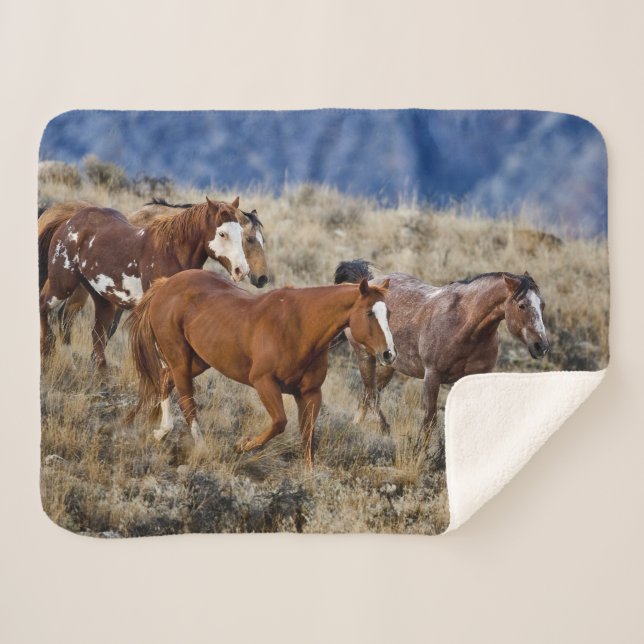 Horses Roaming the Hills Sherpa Blanket (Front (Horizontal))