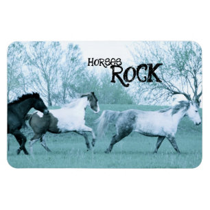 Horses ROCK Magnet