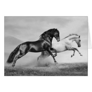 Horses Run