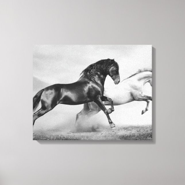Horses Run Canvas Print (Front)