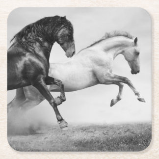 Horses Run Square Paper Coaster