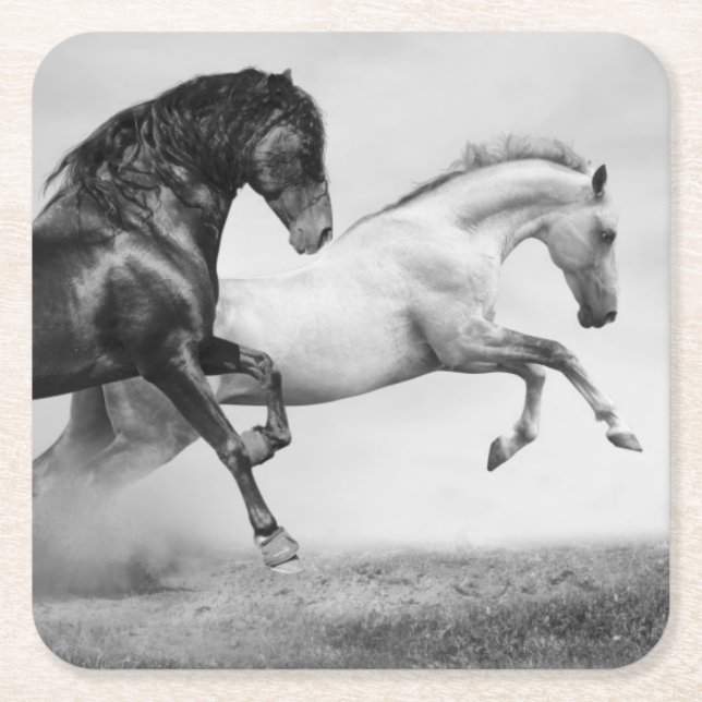 Horses Run Square Paper Coaster (Front)