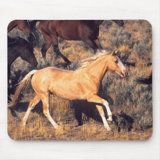 Horses Running a Ponderosa Ranch Mouse Pad (Front)