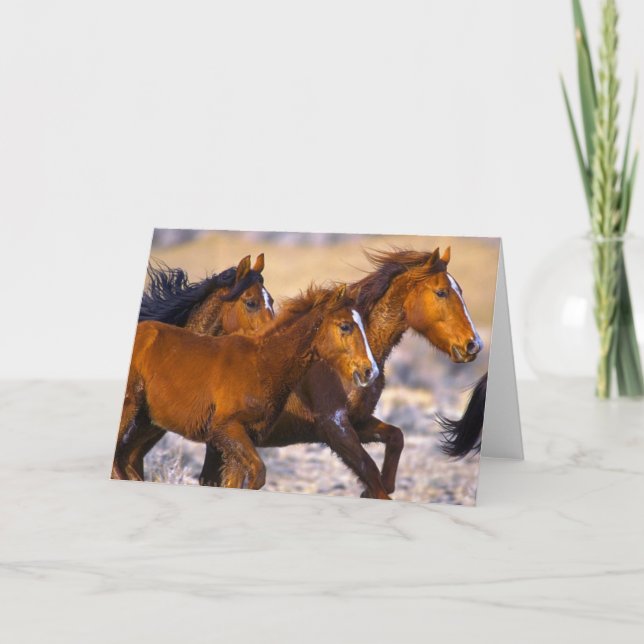 Horses running card (Front)