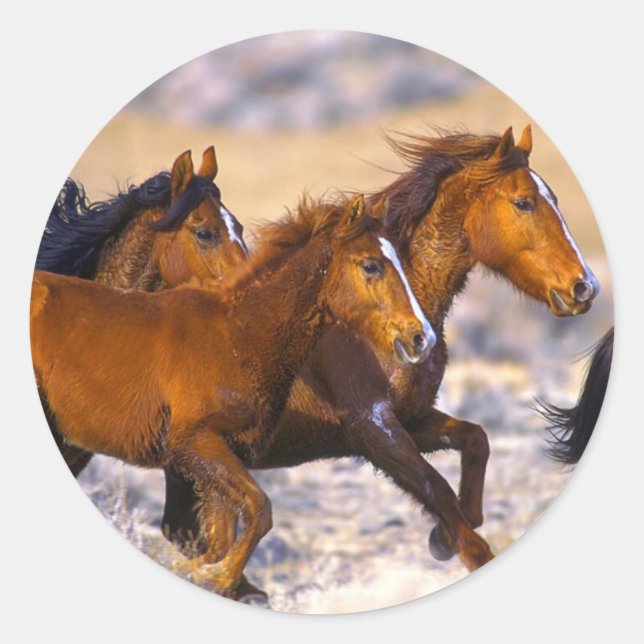 Horses running classic round sticker (Front)