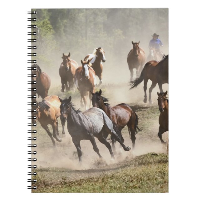 Horses running during roundup, Montana Notebook (Front)
