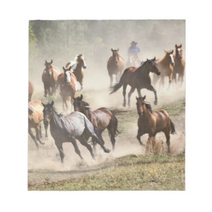 Horses running during roundup, Montana Notepad