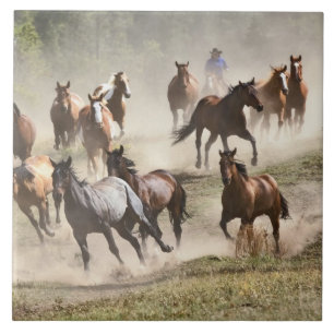 Horses running during roundup, Montana Tile