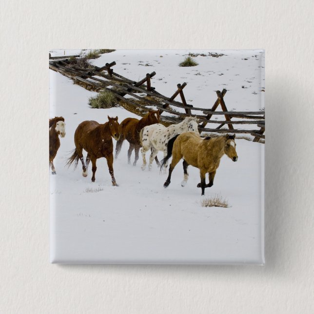 Horses Running in Snow 2 Inch Square Button (Front)