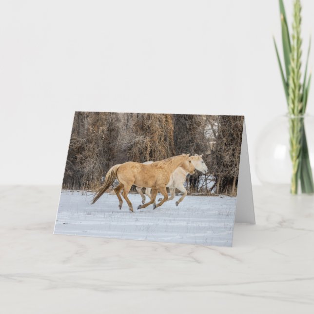 Horses Running in Snow Card (Front)