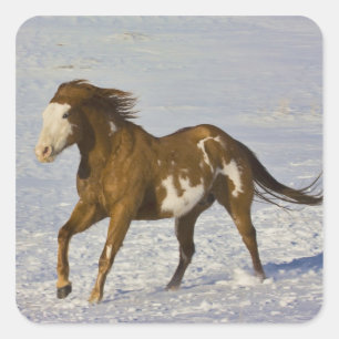 Horses Running in Snow Square Sticker