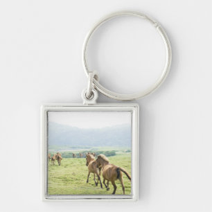 Horses running keychain