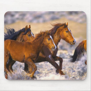 Horses running mouse pad