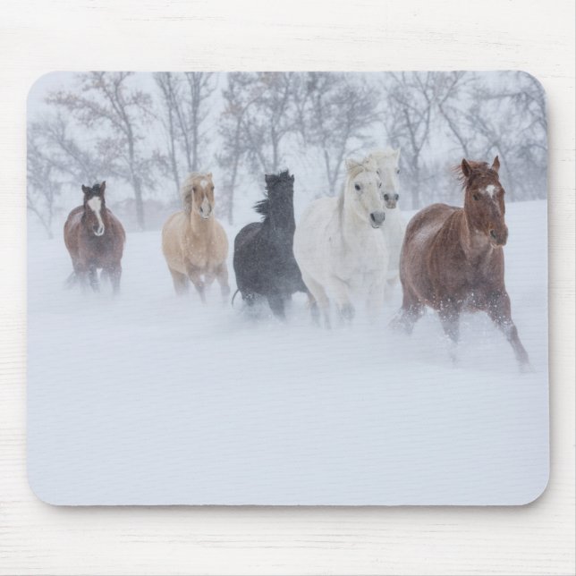 Horses Running Through the Snow Mouse Pad (Front)