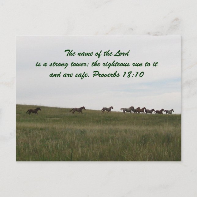 Horses running with scripture Post Card (Front)