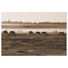 Horses Rustic Vintage Sepia Texture Decoupage