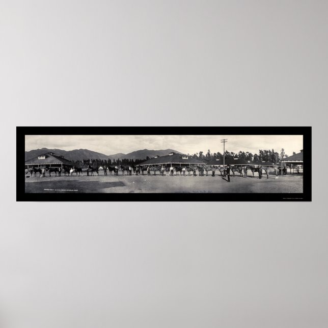 Horses Santa Anita Photo 1908 Poster (Front)