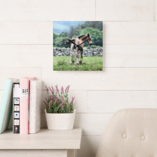 HORSES SQUARE WALL CLOCK