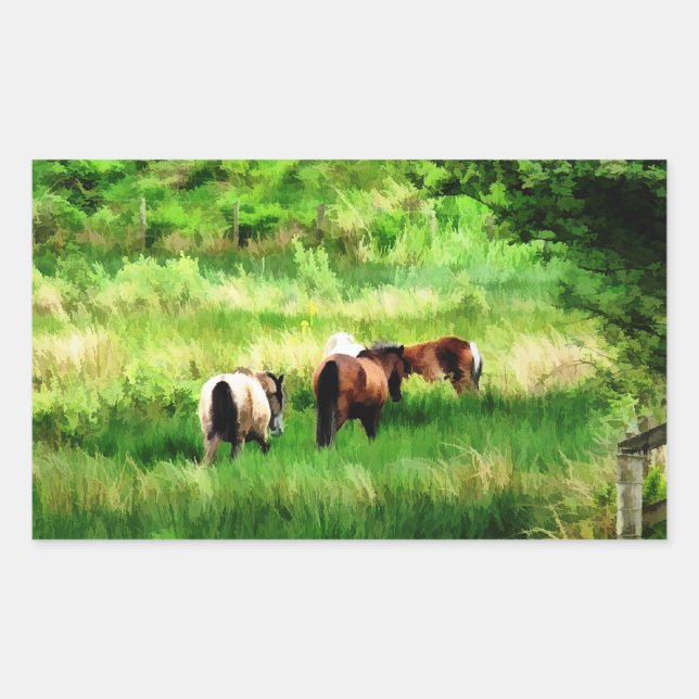 HORSES STICKER (Front)