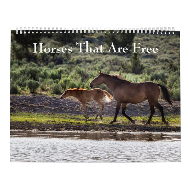 Horses That Are Free Calendar (Cover)