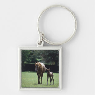 Horses - Thoroughbred, Mare And Foal, Keychain