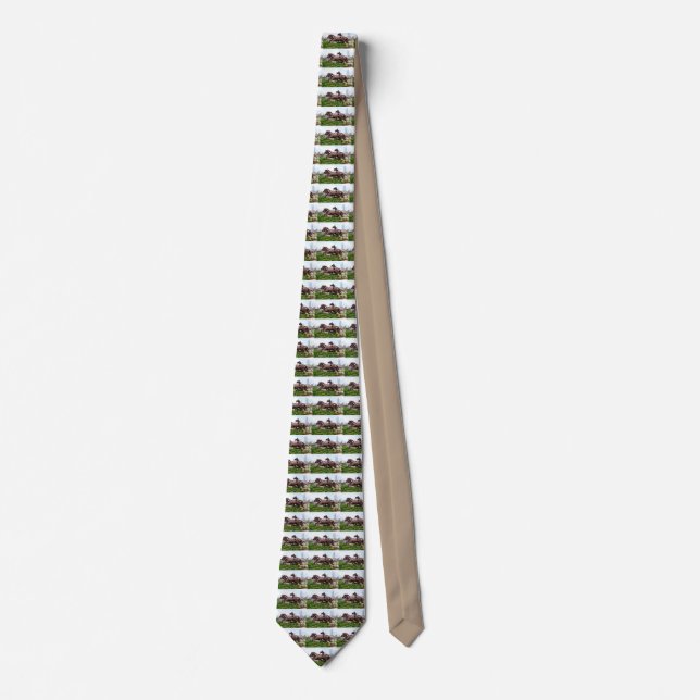 Horses Tie (Front)