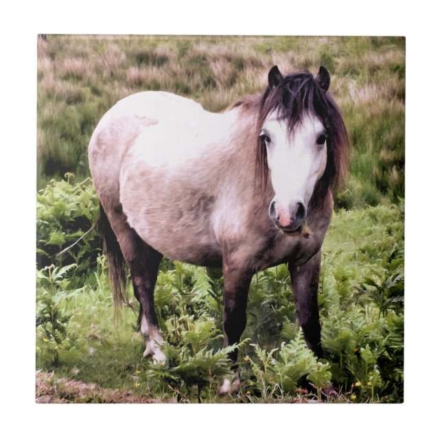 HORSES TILE (Front)